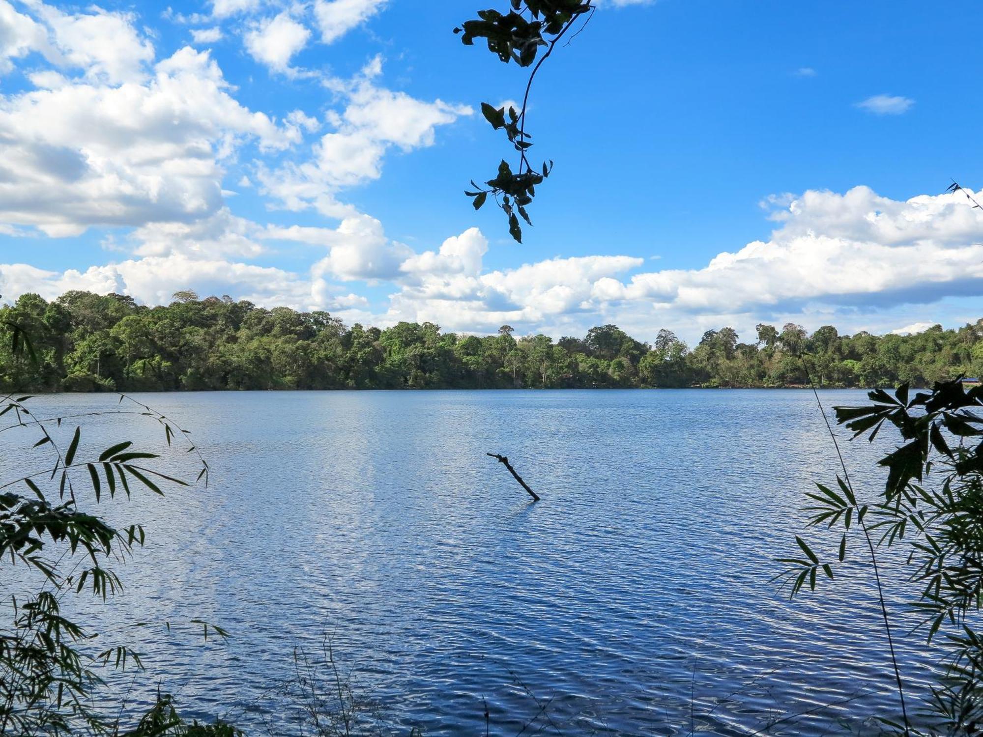 Ratanakiri Homestay & Jungle Trek بانلونغ المظهر الخارجي الصورة